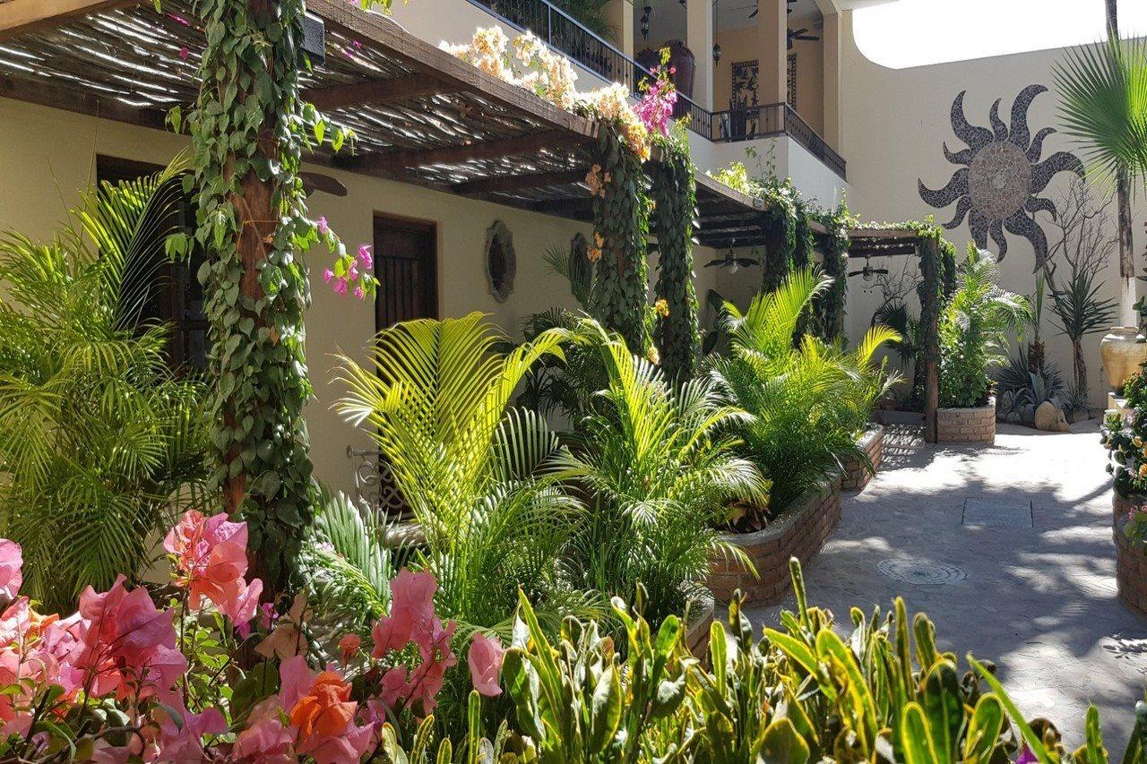 Posada De Las Flores La Paz Ngoại thất bức ảnh